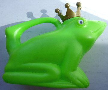 Frosch.jpg
